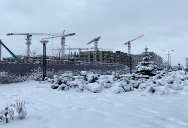 Превью новости