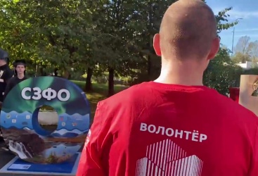 Превью новости