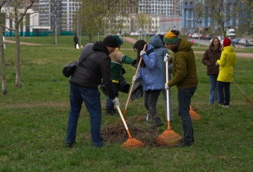 Превью новости