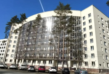 Превью новости