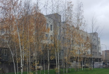 Превью новости