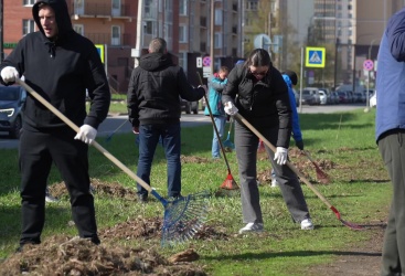 Превью новости