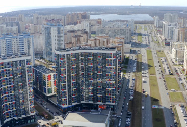 Превью новости