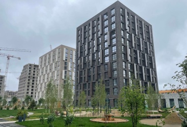 Превью новости