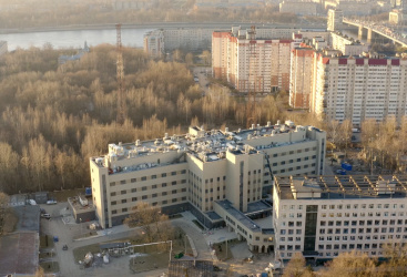 Превью новости