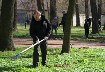 Превью новости