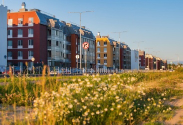 Превью новости