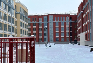 Превью новости