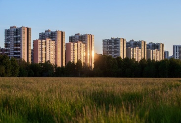 Превью новости