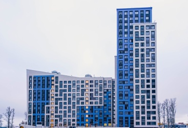Превью новости